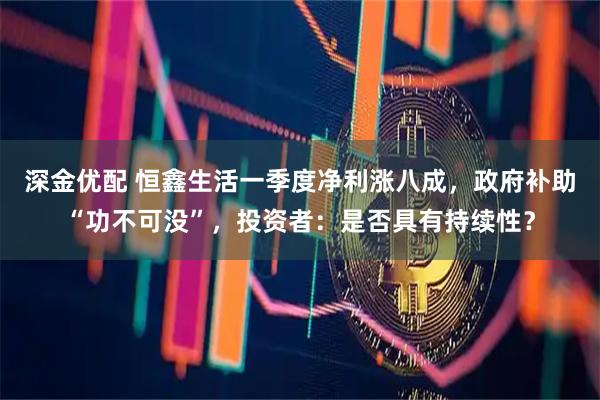 深金优配 恒鑫生活一季度净利涨八成，政府补助“功不可没”，投资者：是否具有持续性？