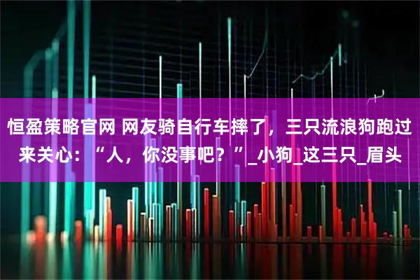 恒盈策略官网 网友骑自行车摔了，三只流浪狗跑过来关心：“人，你没事吧？”_小狗_这三只_眉头