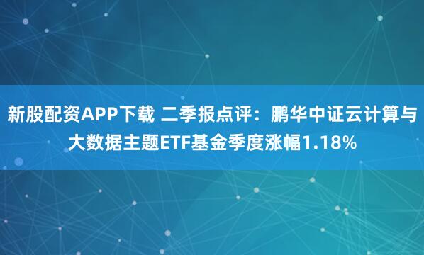 新股配资APP下载 二季报点评：鹏华中证云计算与大数据主题ETF基金季度涨幅1.18%