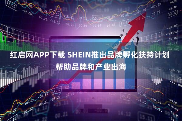 红启网APP下载 SHEIN推出品牌孵化扶持计划 帮助品牌和产业出海