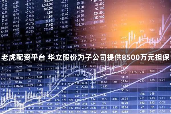 老虎配资平台 华立股份为子公司提供8500万元担保