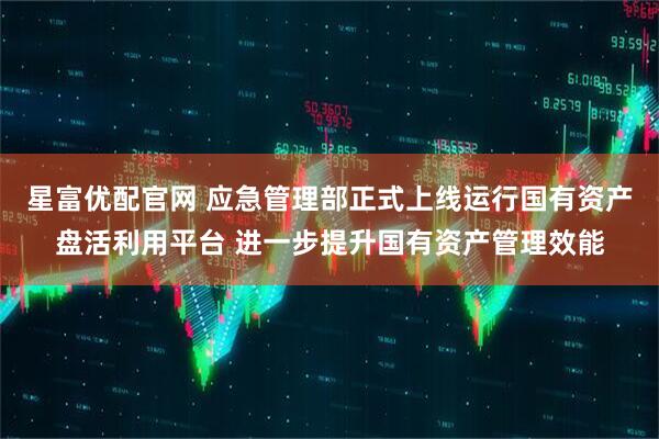星富优配官网 应急管理部正式上线运行国有资产盘活利用平台 进一步提升国有资产管理效能