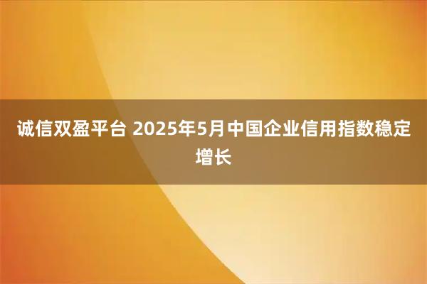 诚信双盈平台 2025年5月中国企业信用指数稳定增长