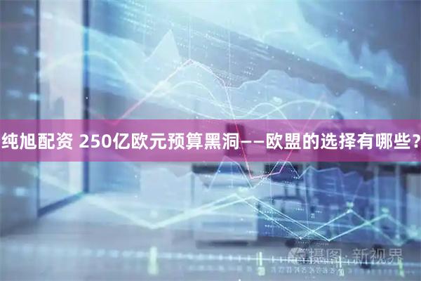 纯旭配资 250亿欧元预算黑洞——欧盟的选择有哪些？
