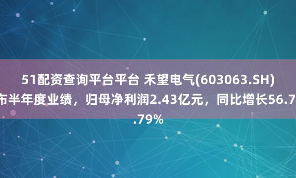 51配资查询平台平台 禾望电气(603063.SH)发布半年度业绩，归母净利润2.43亿元，同比增长56.79%